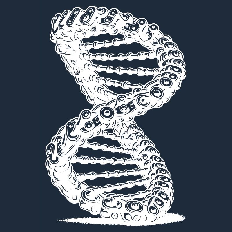 Möbius Loop Curved Chains DNA