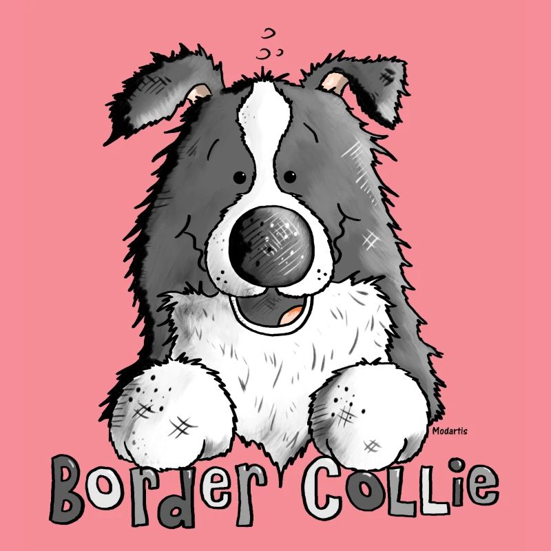 Petit Boder Collie - Chien de Berger