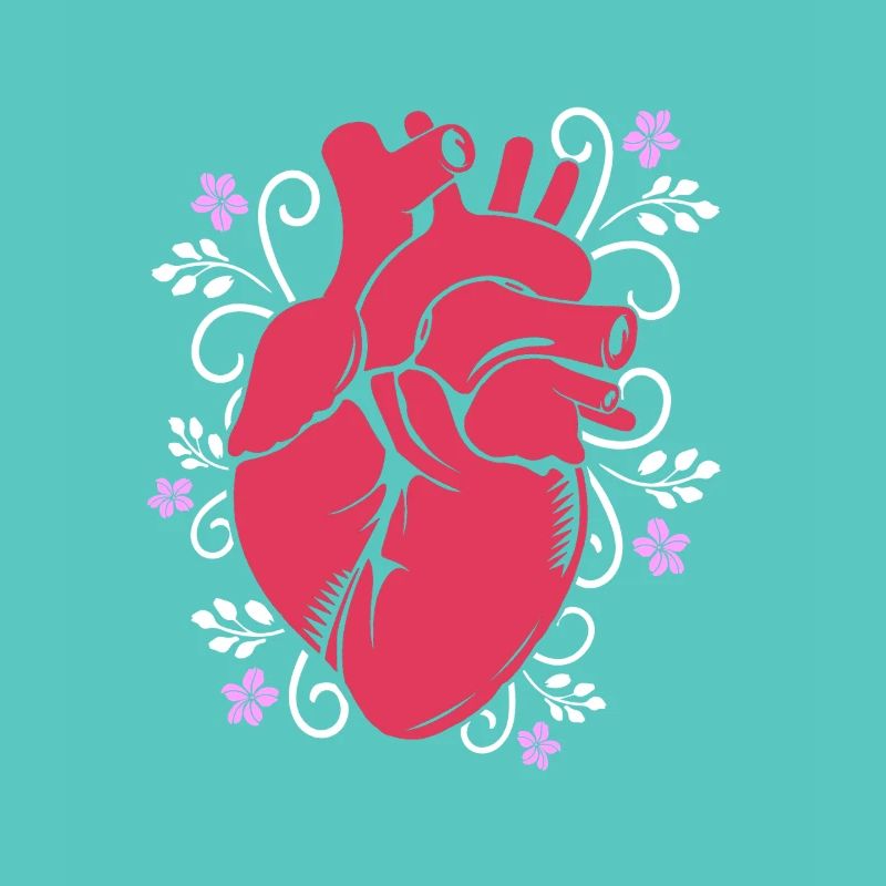 Cardiogramme, cardiographie, échographie, échographie