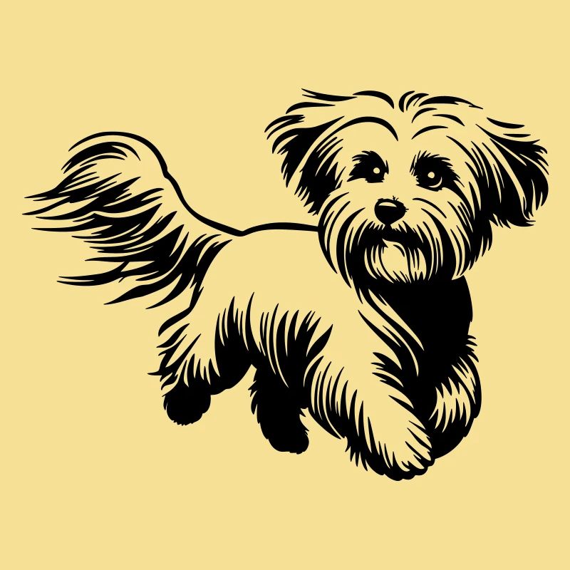 Maltese