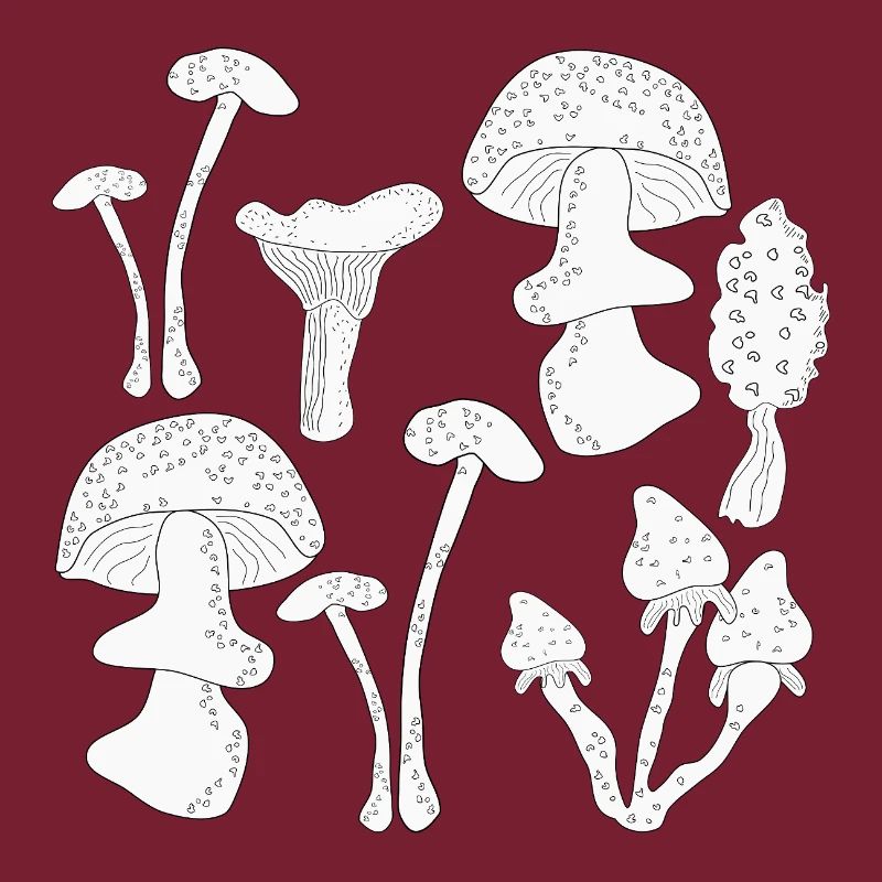 Mushroom picking autumn
