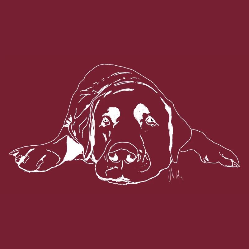 Labrador