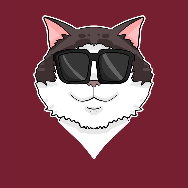 Ragdoll Katze