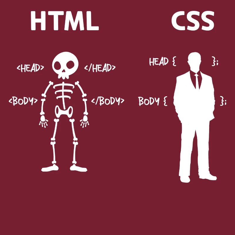 Code Css C++ Php Java Developer Code Skripting