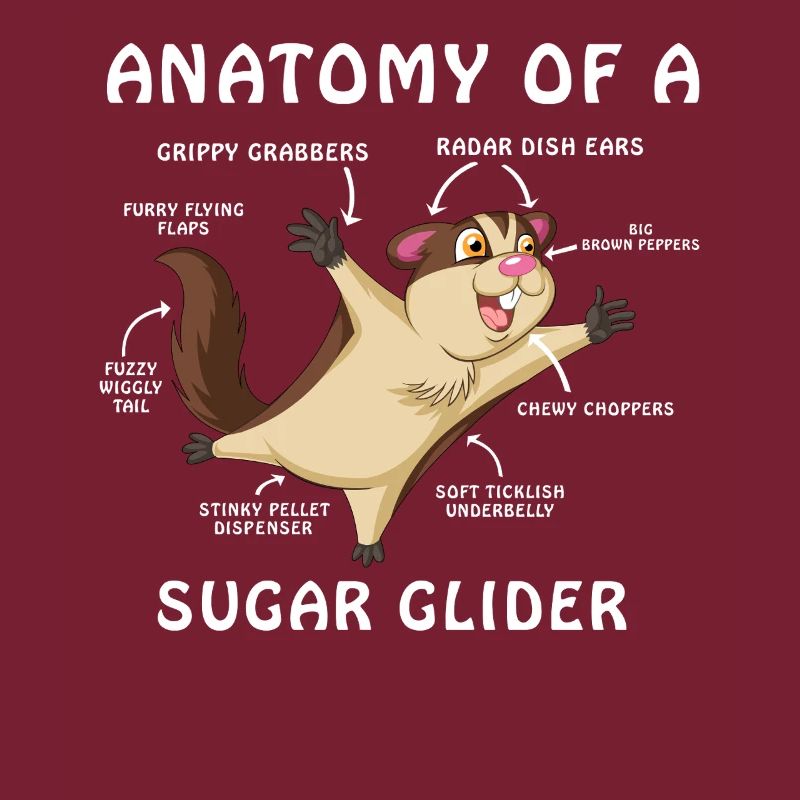 Sugar Glider Anatomy Shirt