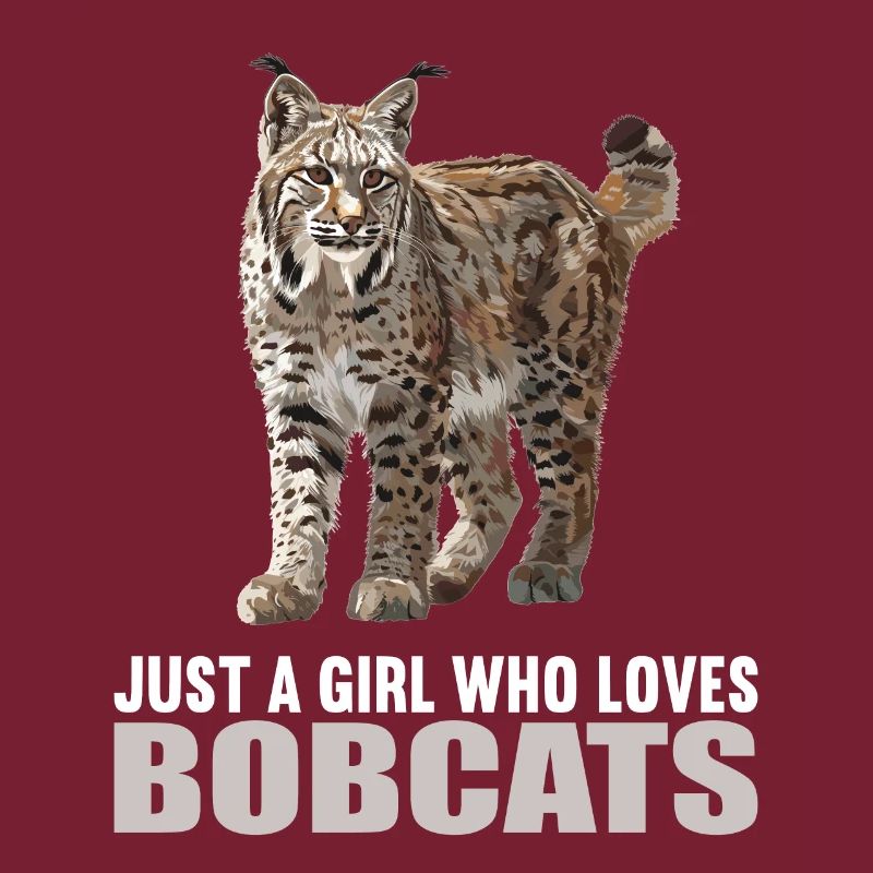 Bobcats Rotluchse Rotluchs Luchs