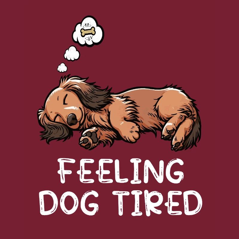 Se sentir fatigué par chien Teckel