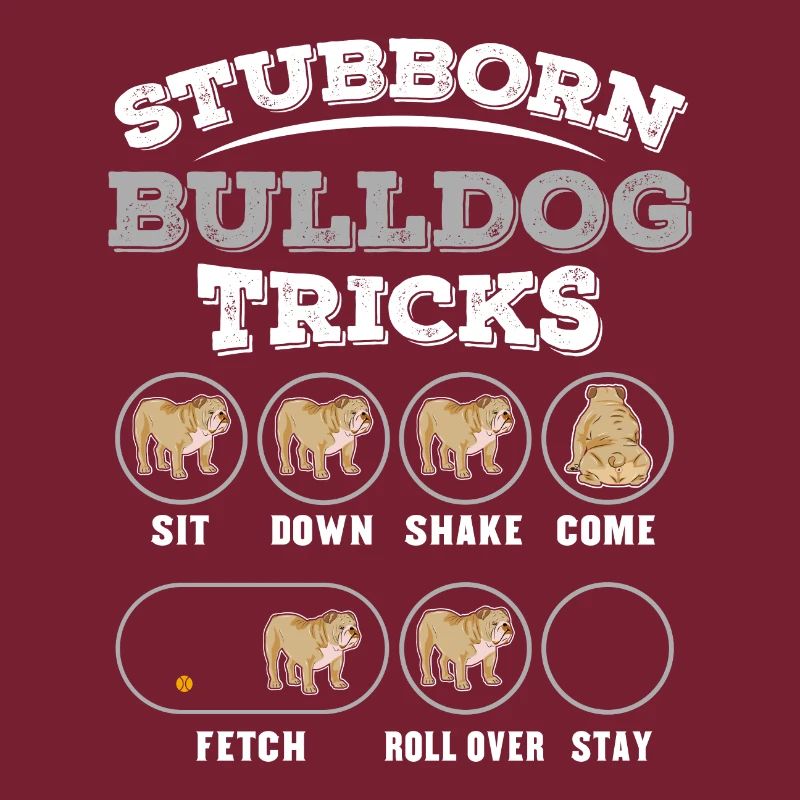 Formation de chien pour bulldogen