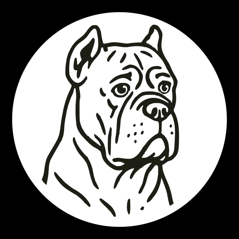 Cane corso