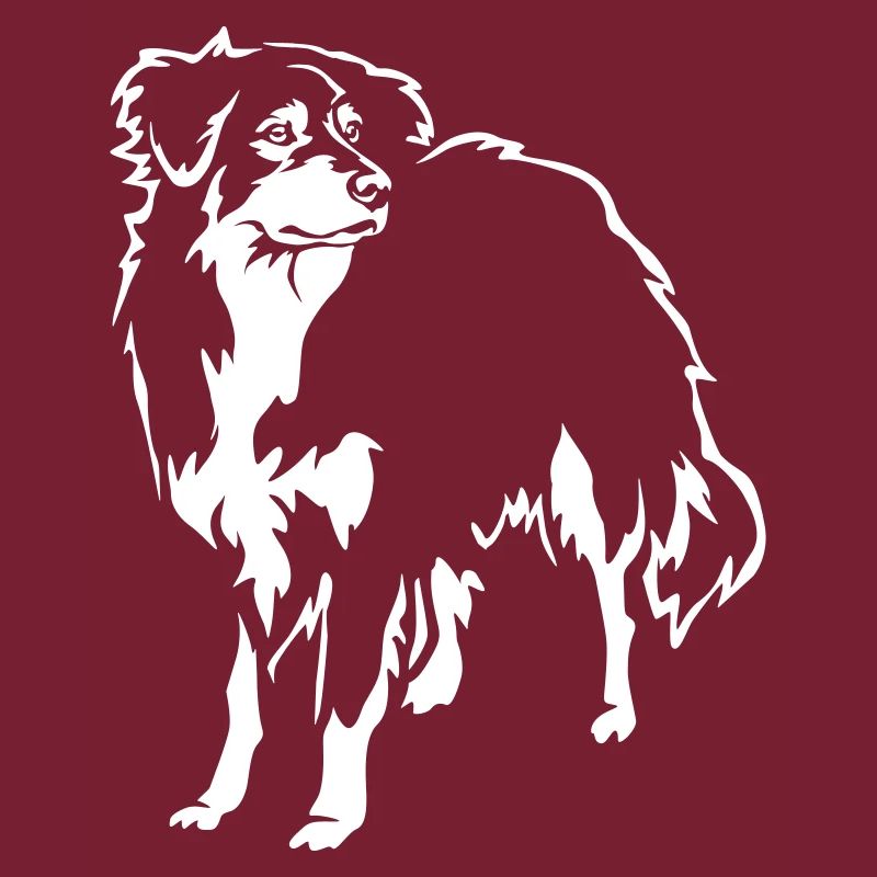 Australian Shepherd "Black Edition"