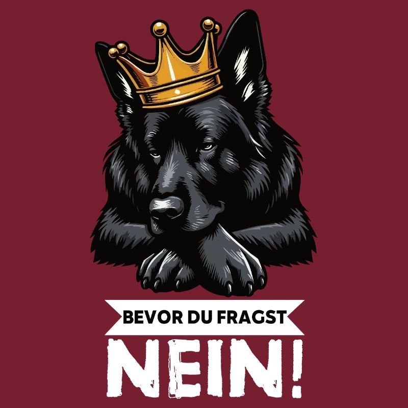 Before you ask Black Shepherd Shepherd Dogs