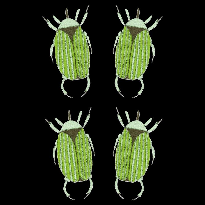 insecte vert