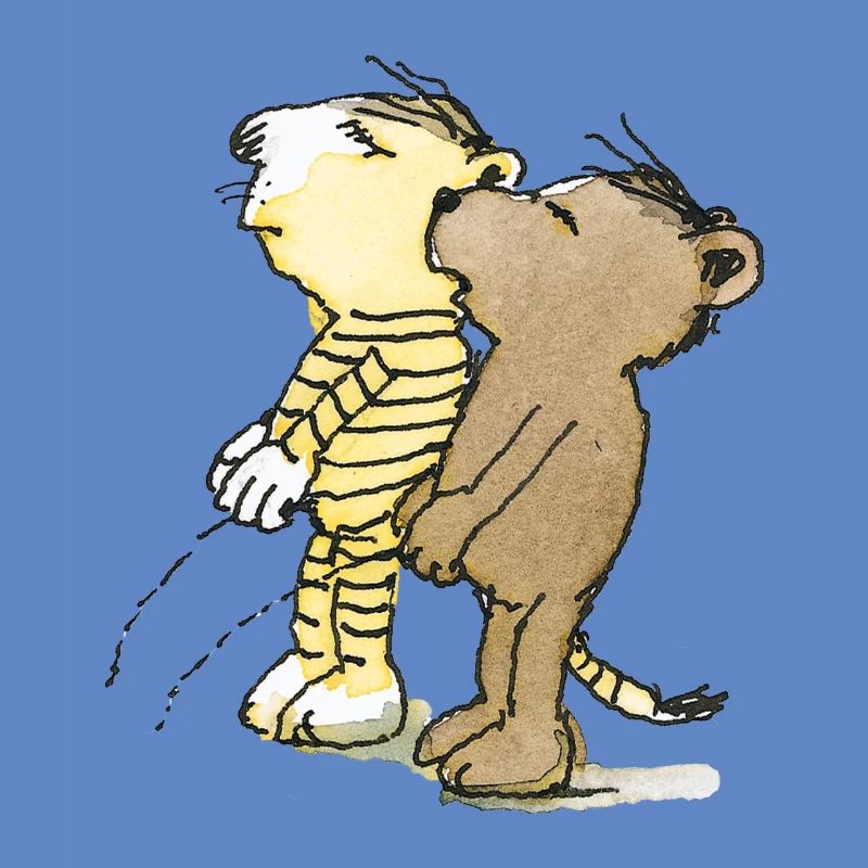 Janosch Tiger und Bär Pullern