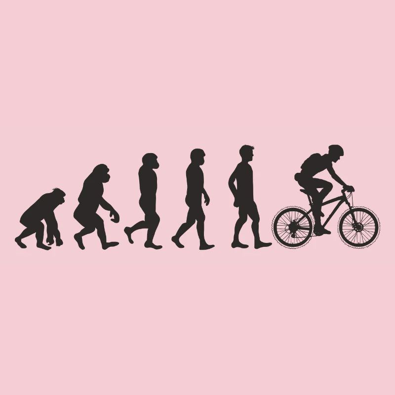 Evolution Bicycle