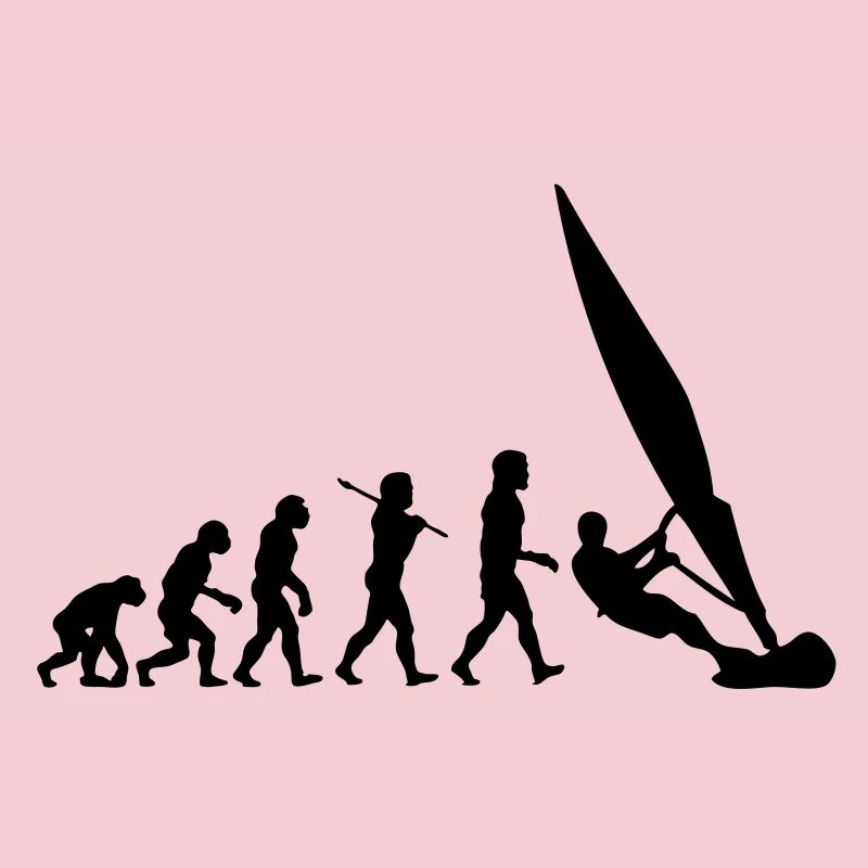 ws01 windsurf evolution