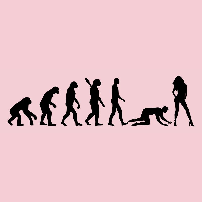 Evolution Ehe