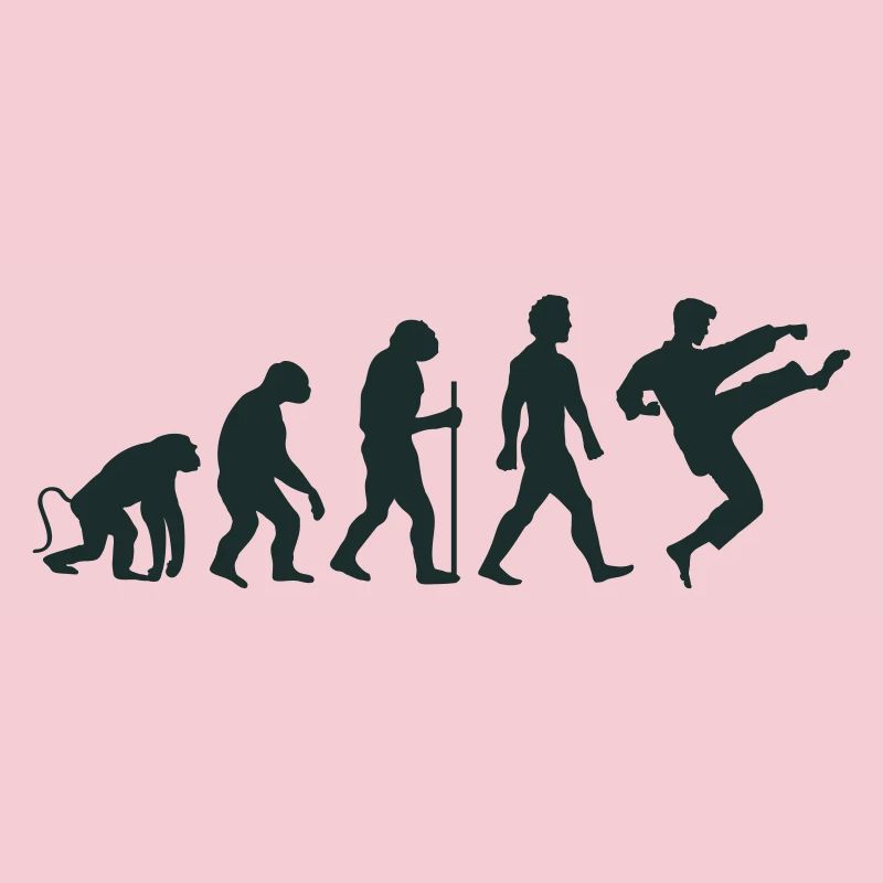 Karate Evolution