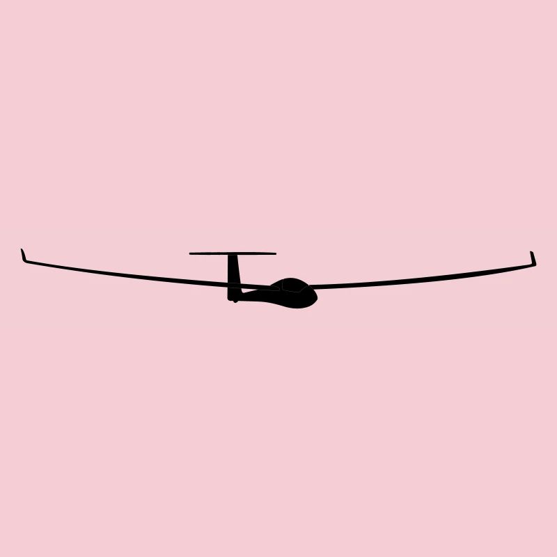 soaring pilot