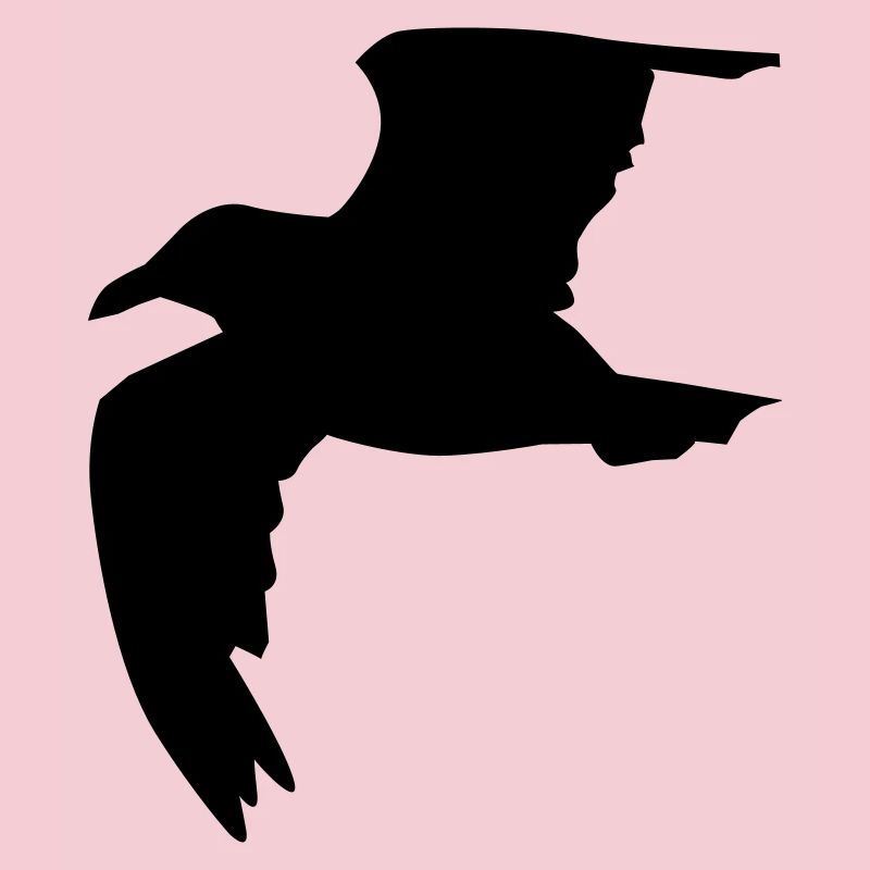 Möwe