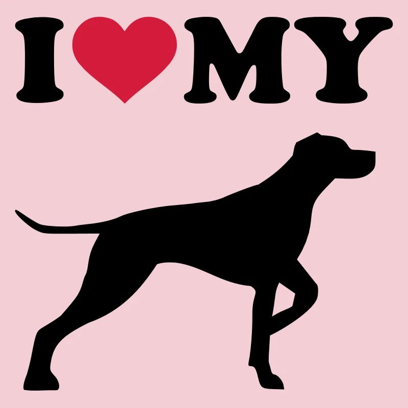 German Shorthaired Pointer