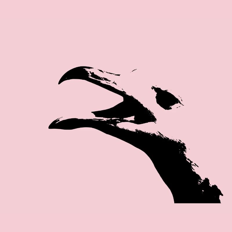 Möwe