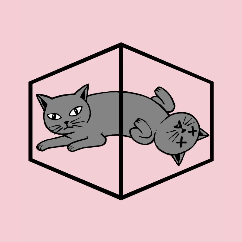 Le chat de Schrödinger