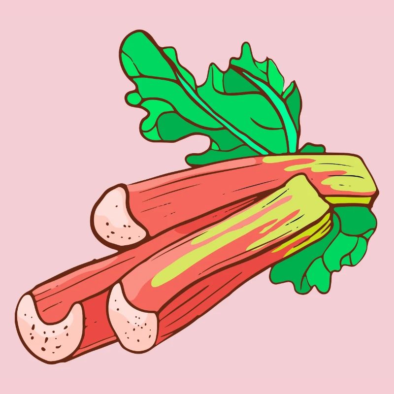 Rhubarbe commun Krauser