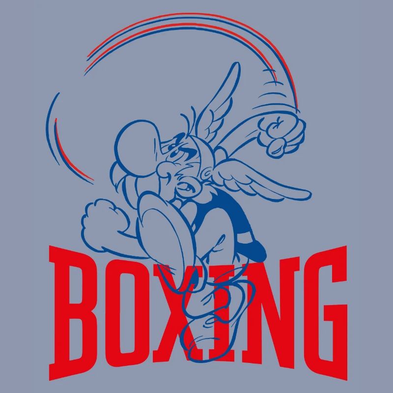 Asterix & Obelix Asterix Boxen Design