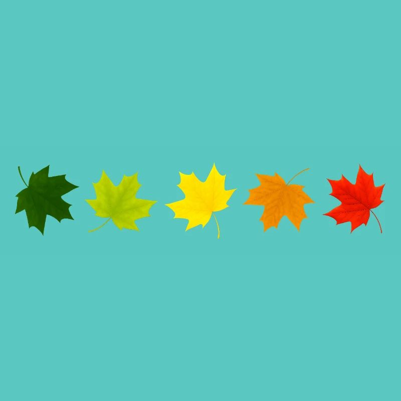 Der Herbst ist da