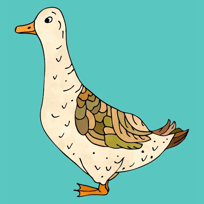 canard