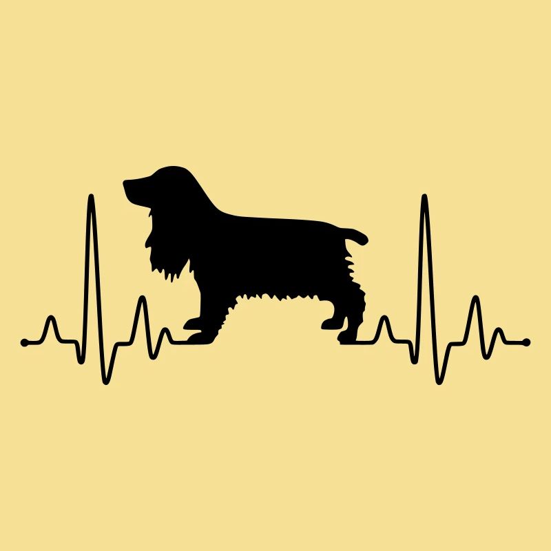 Cocker Spaniel Plus