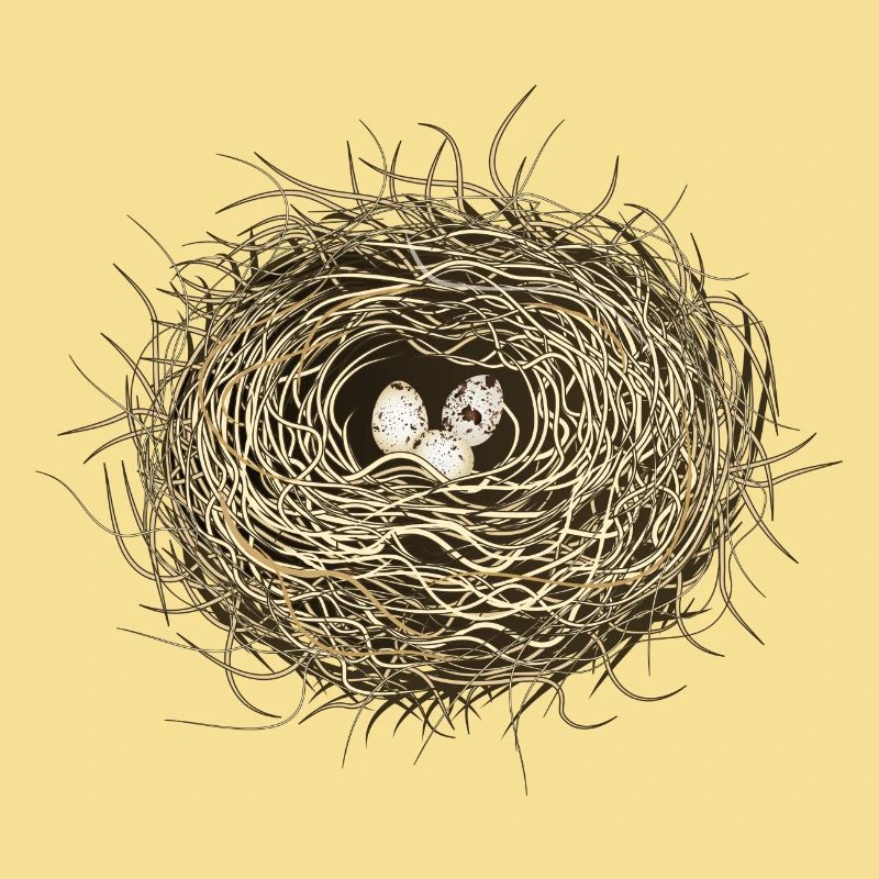 Vogelnest oder Osternest mit drei Vogel Eier