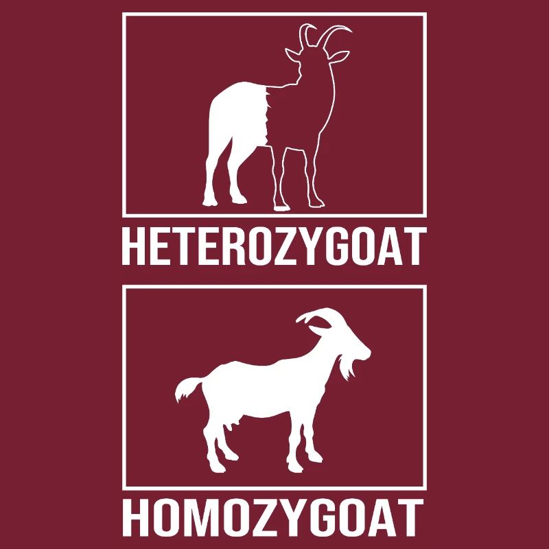 Molecule Structural Formula