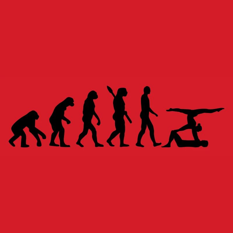 Évolution Acrobatie