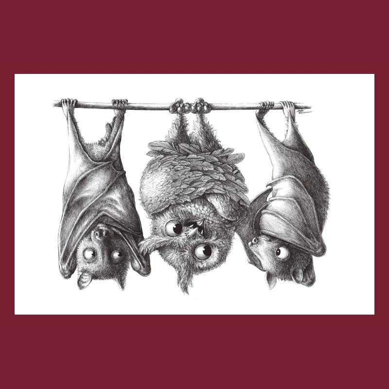 Vampire owl and bats