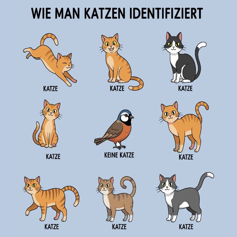 Guide d’identification des chats