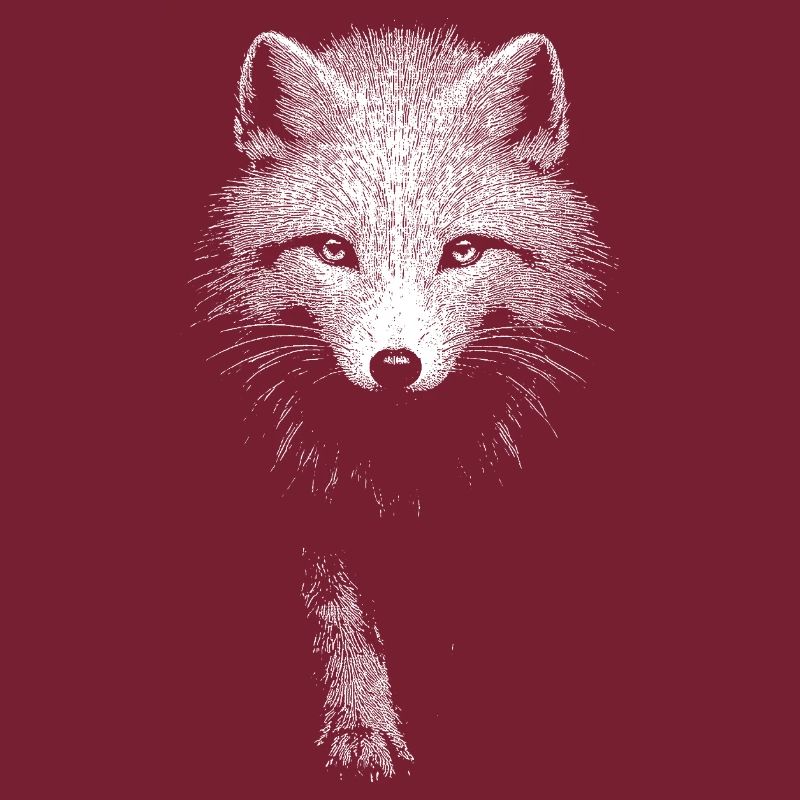 Arctic fox
