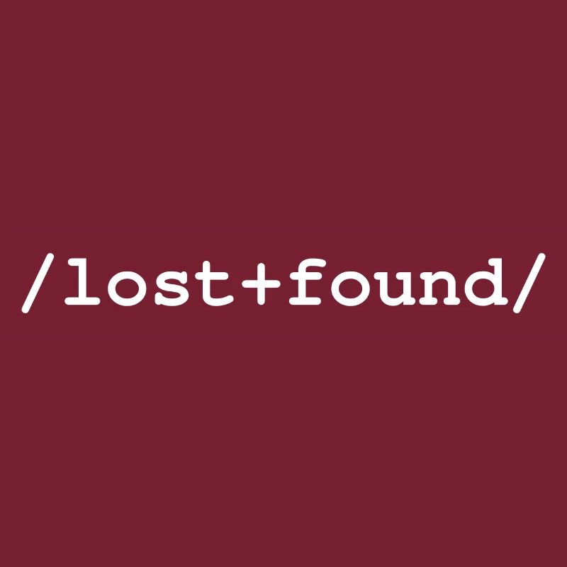 Lost+Found - /lost+found/ folder