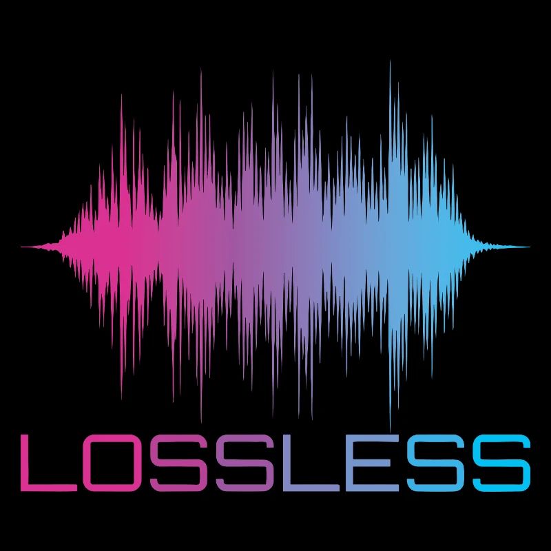 Format audio sans perte Son audiophile