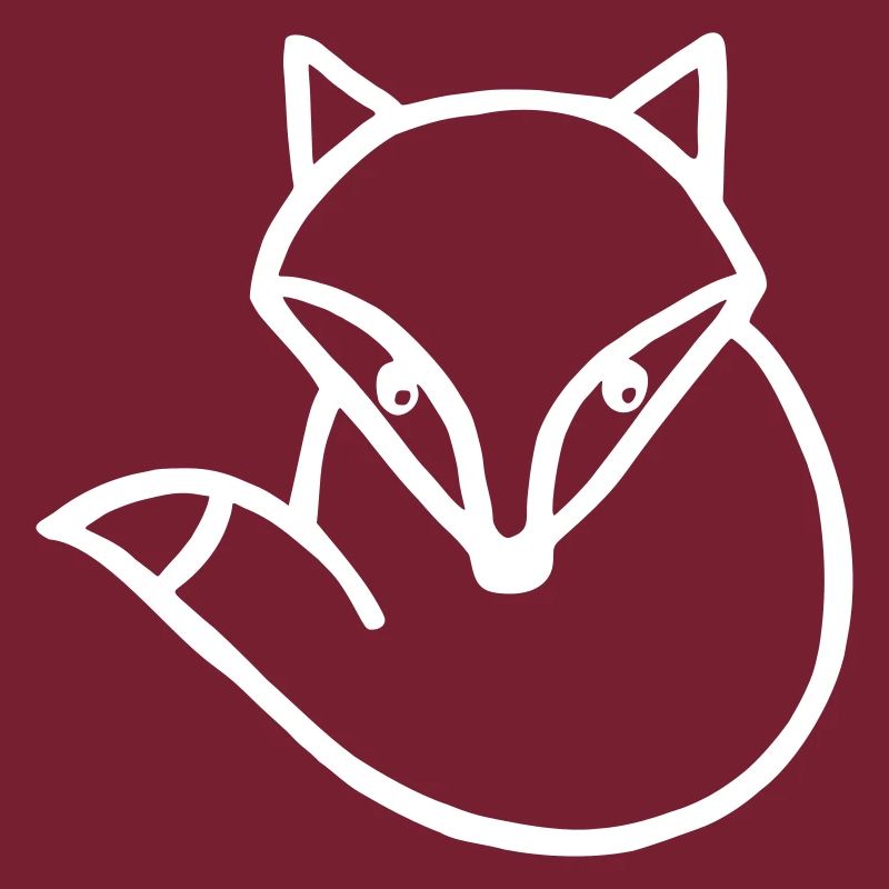 smart fox fox gift