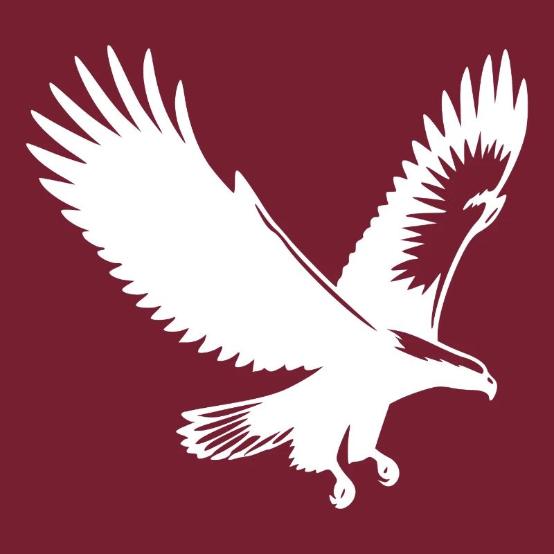 Elegant eagle approaching with broad wings