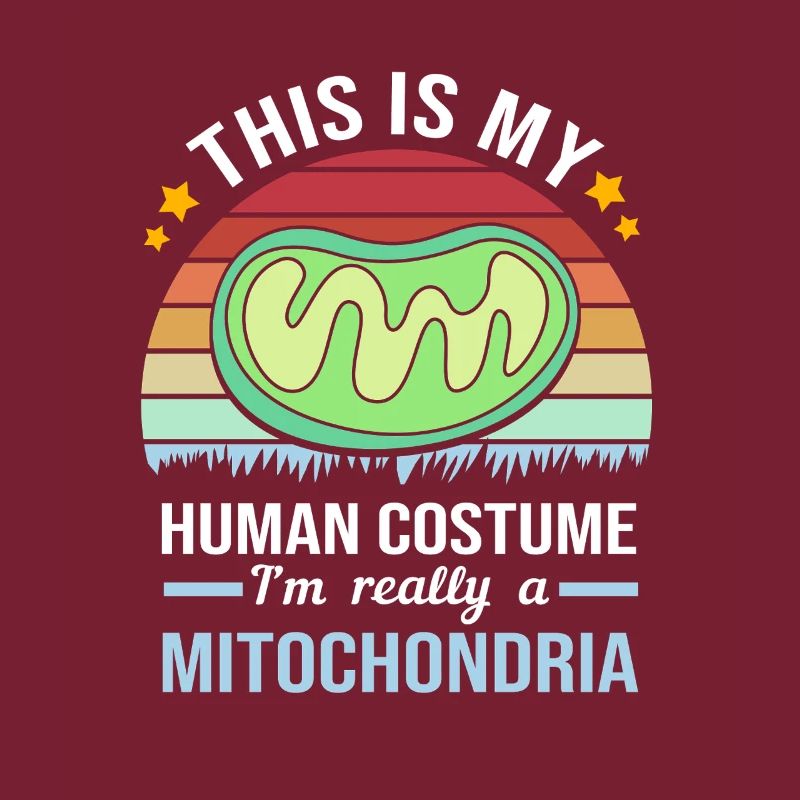 Molecule Structural Formula