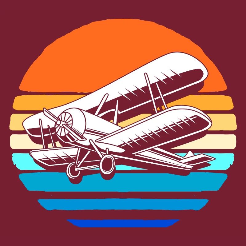 Modellflugzeug Modellflug