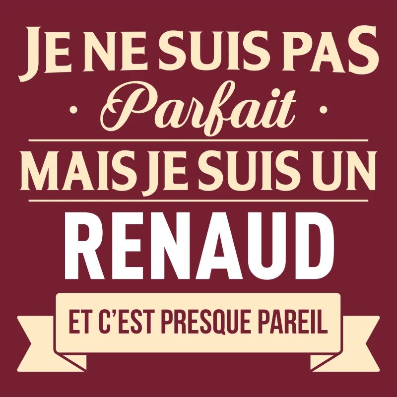 Je Ne Suis Pas Parfait Mais Je Suis Un Renaud E...