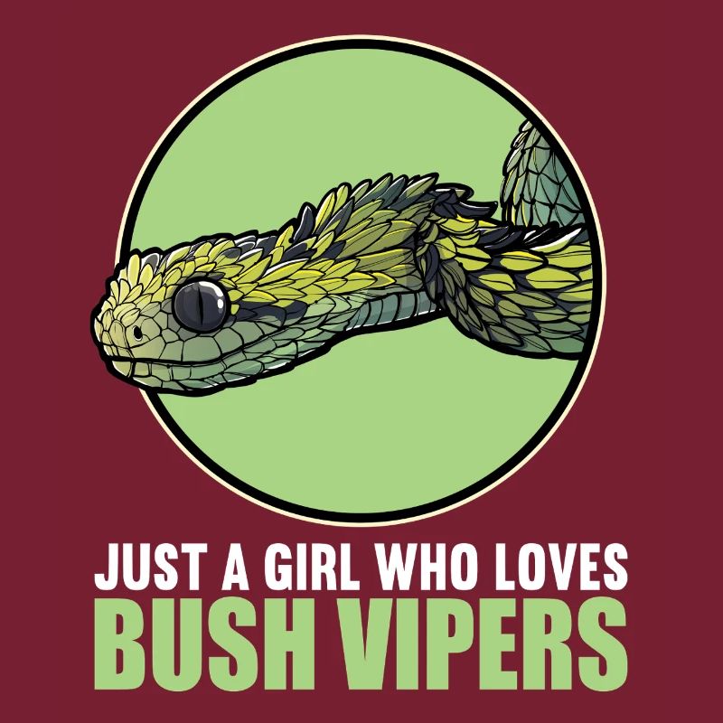 Bush Vipers Bush Viper