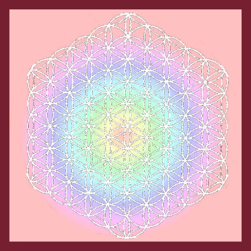 Fleur de Vie Blanche - 5ème Dimension