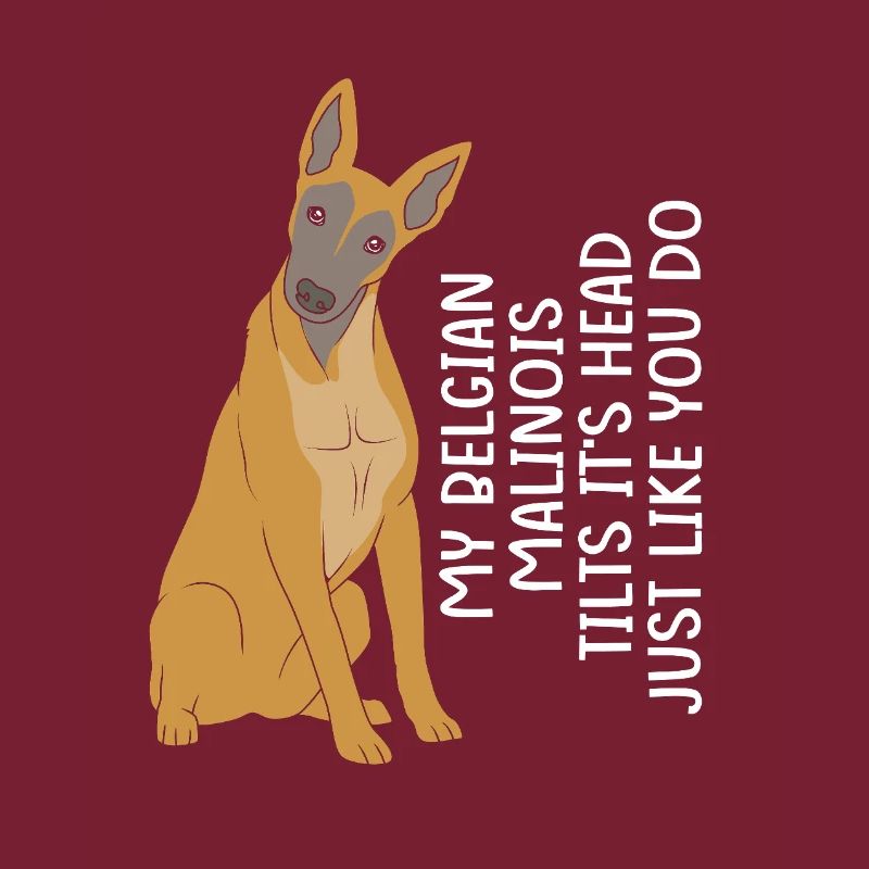 Belgischer Malinois