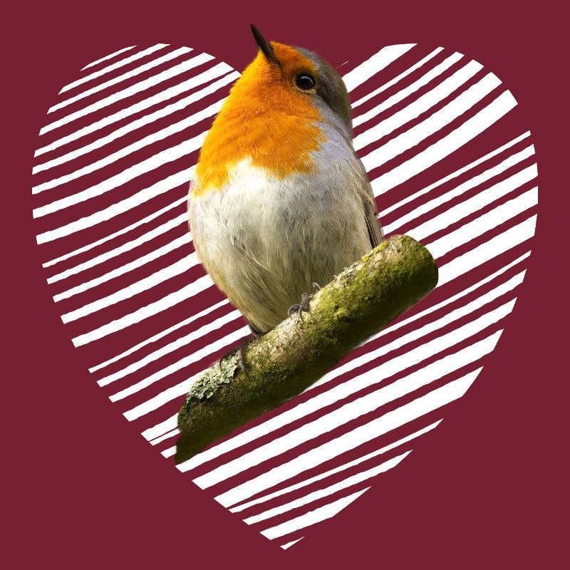 Rotkehlchen Singvogel