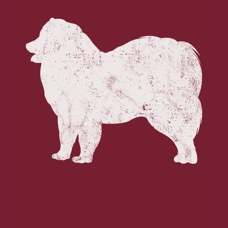 Samojede Samoyed Hundebesitzer