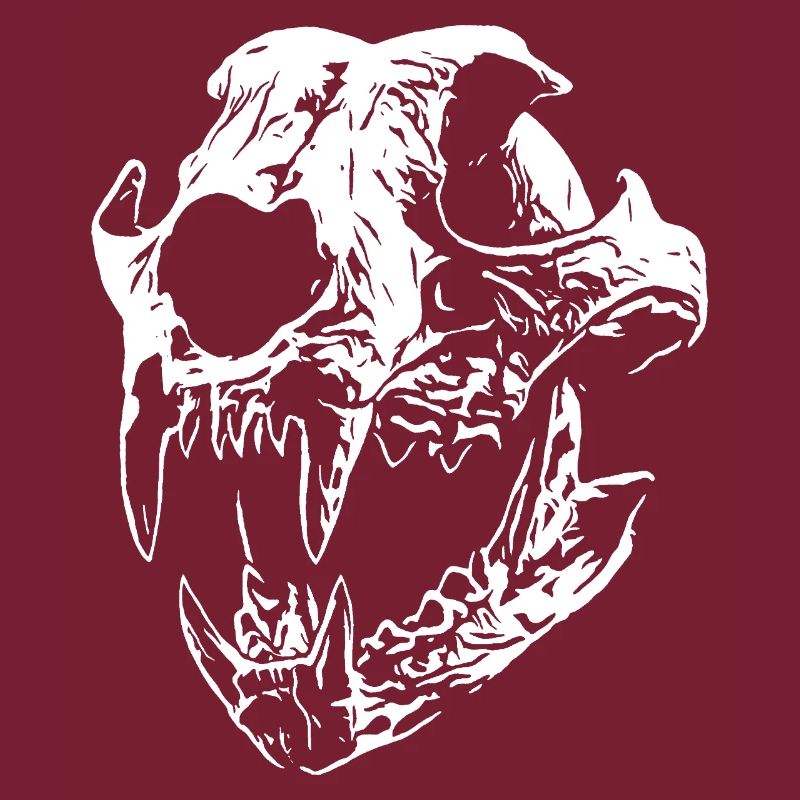 Smilodon skull with sharp teeth